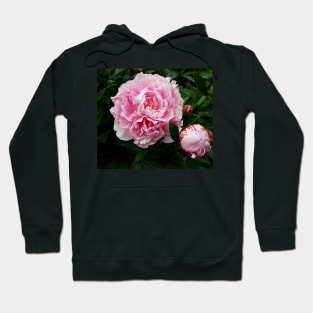 peony Hoodie